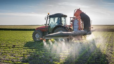 Agrotóxicos na água em SC: o que isso significa para o meio ambiente e para a população