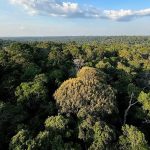 O Brasil acaba de entrar em uma nova fase de regulação com a nova lei de licenciamento ambiental. Com a aprovação da Lei nº 15.190/2025, o licenciamento passa a ter um marco nacional que promete simplificar processos, aumentar a previsibilidade e reforçar a responsabilidade ambiental.