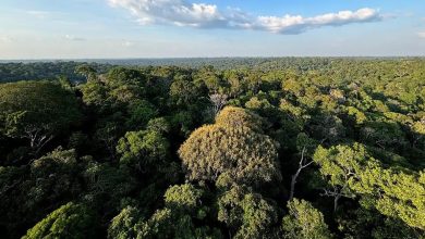 O Brasil acaba de entrar em uma nova fase de regulação com a nova lei de licenciamento ambiental. Com a aprovação da Lei nº 15.190/2025, o licenciamento passa a ter um marco nacional que promete simplificar processos, aumentar a previsibilidade e reforçar a responsabilidade ambiental.