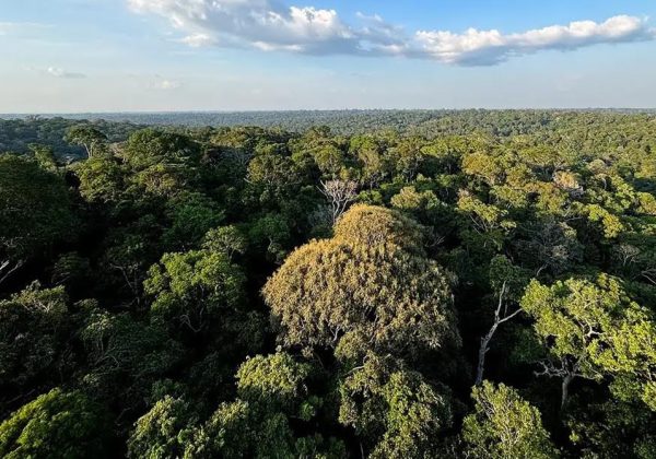 O Brasil acaba de entrar em uma nova fase de regulação com a nova lei de licenciamento ambiental. Com a aprovação da Lei nº 15.190/2025, o licenciamento passa a ter um marco nacional que promete simplificar processos, aumentar a previsibilidade e reforçar a responsabilidade ambiental.