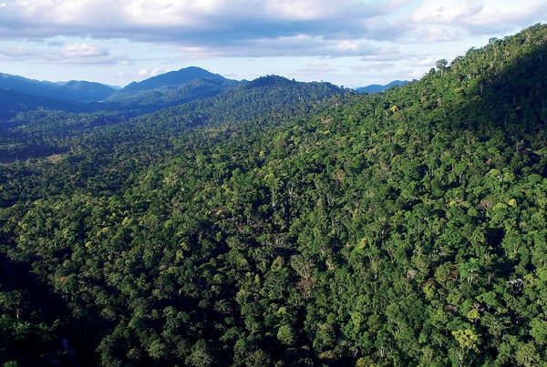 Trecho de Mata Atlântica preservada