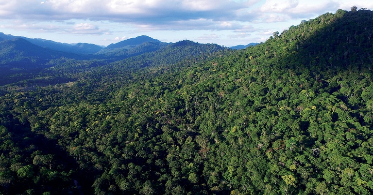 Trecho de Mata Atlântica preservada