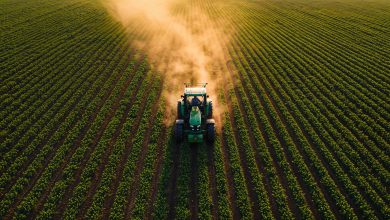 Para o produtor rural catarinense, a regularização ambiental deixou de ser apenas uma obrigação legal, tornou-se um ativo estratégico da propriedade.
