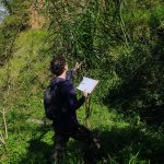 alt="consultoria ambiental para empresas"