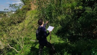 alt="consultoria ambiental para empresas"