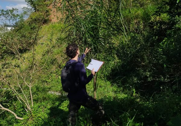 alt="consultoria ambiental para empresas"