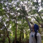 Escolher uma Consultoria Ambiental: 5 Critérios Essenciais