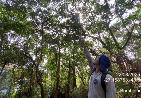 Escolher uma Consultoria Ambiental: 5 Critérios Essenciais