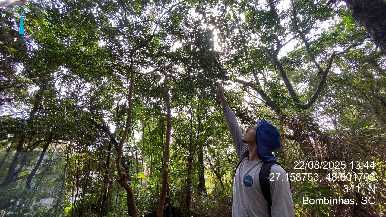 Escolher uma Consultoria Ambiental: 5 Critérios Essenciais