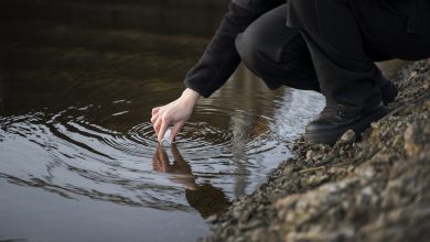 O estudo de autodepuração de rios é a ferramenta que traduz esse fenômeno natural em números e parâmetros técnicos utilizáveis pelo órgão ambiental.