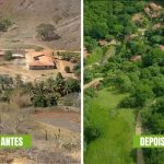 Sebastião Salgado recuperação de área degradada, vista aérea da Mata Atlântica restaurada na Fazenda Bulcão.