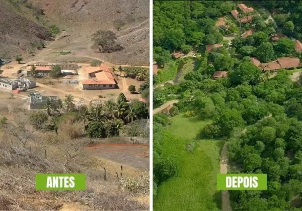 Sebastião Salgado recuperação de área degradada, vista aérea da Mata Atlântica restaurada na Fazenda Bulcão.