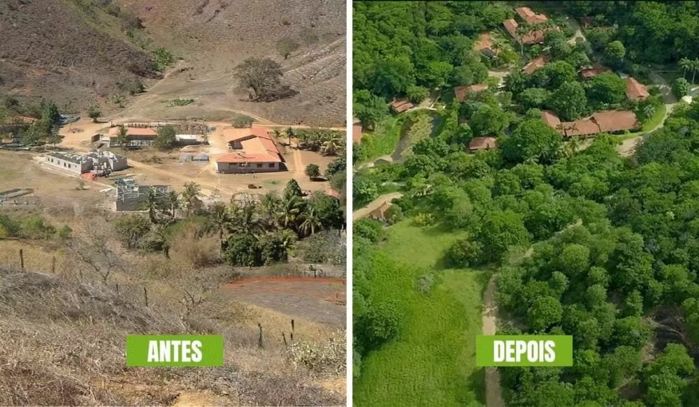 Sebastião Salgado recuperação de área degradada, vista aérea da Mata Atlântica restaurada na Fazenda Bulcão.