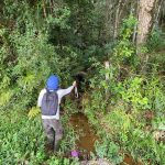 licença ambiental para pessoa física