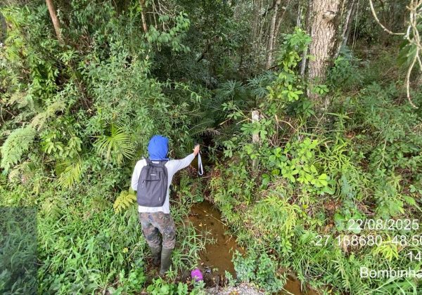 licença ambiental para pessoa física