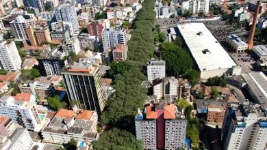 arborização urbana