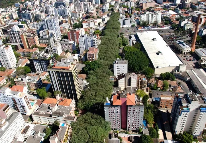 arborização urbana