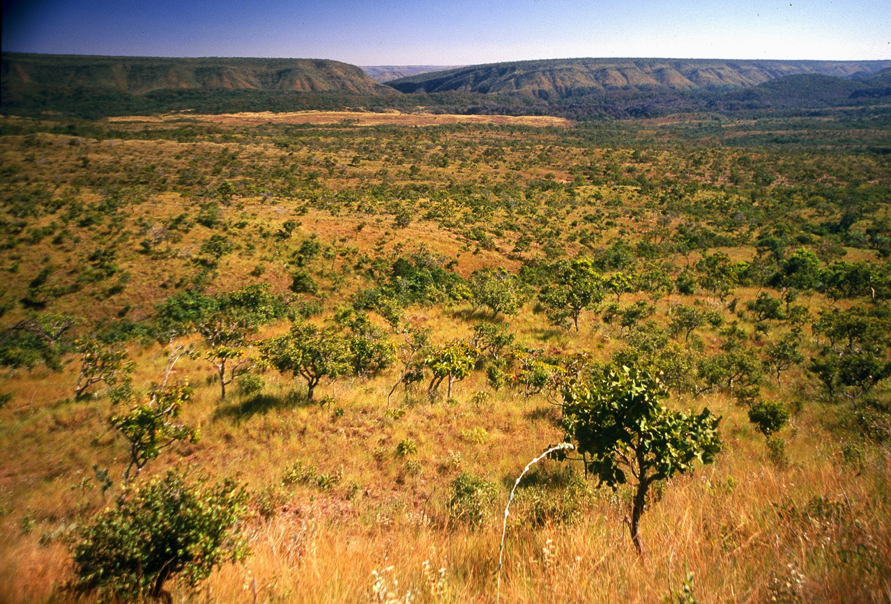 Dia do Cerrado, paisagem do bioma Cerrado no Brasil