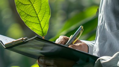Checklist de documentos para supressão vegetal antes do corte de árvores
